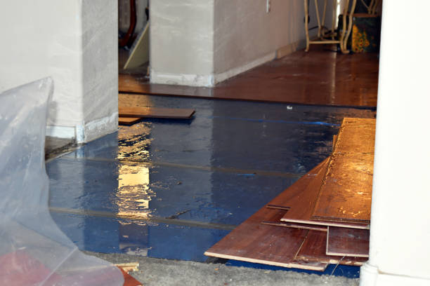 Professional Water Damage technician working in Plymouth, MA