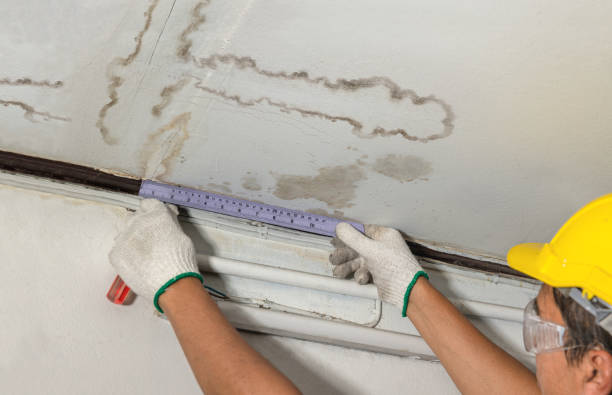 Reliable Water Damage contractor in Plymouth, MA by Water Damage Irwin